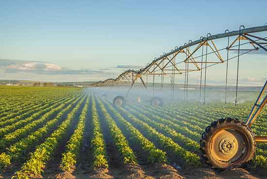 Irrigazione di prodotti in un negozio di alimentari